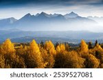 Mountain range in distance shrouded in mist under soft sunlight. Golden autumn trees in foreground with blue haze contrast.