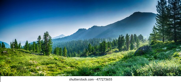 mountain range and evergreen trees, Khamar-Daban, Siberia, Russia, national park - Shutterstock ID 477273655