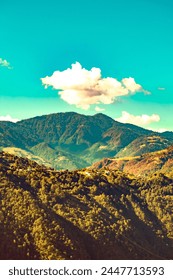 Mountain range with forest in the background