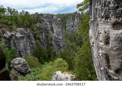 A mountain range with a forest in the foreground. The trees are green and the sky is cloudy