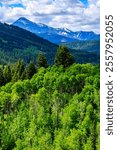 A mountain range with a forest of trees in the foreground. The trees are green and the sky is blue