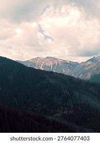 Mountain range with forested foreground under cloudy sky, soft pastel tones