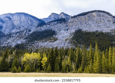 A mountain range with a large waterfall in the middle. The mountains are covered in trees and the sky is cloudy