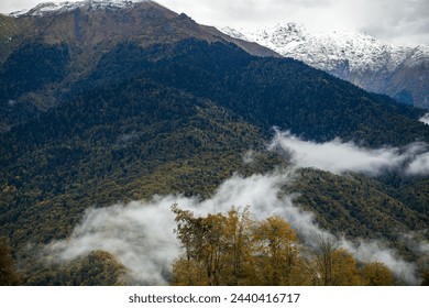 A mountain range with lush trees and clouds covering the sky on a cloudy day creates a natural landscape perfect for travel and exploration - Powered by Shutterstock