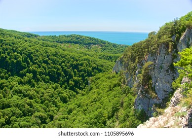 A mountain range not far from the city of Sochi. High rocks and a cliff beneath them. Eagle rocks. Green forest below. - Shutterstock ID 1105895696