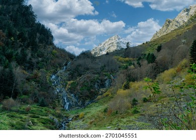 Mountain range with a river running through it. The river is surrounded by trees and the mountains are covered in snow
