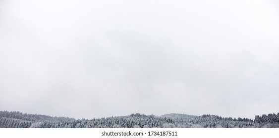 Mountain Range with snow and trees