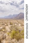 mountain range view in Nevada