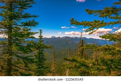 Mountain range view through the trees