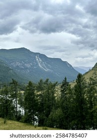 Mountain range view with trees and a river in the background