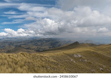 a mountain range with yellow grass, distant mountains and forests with cloudy sky in the background