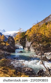 Mountain Ravine With Autumn Colors And A Glacier Stream