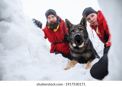 Mountain rescue service with dog on operation outdoors in winter in forest. - Shutterstock ID 1917530171