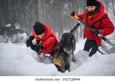 Mountain Rescue Service With Dog On Operation Outdoors In Winter In Forest, Digging Snow.