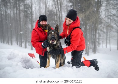 Mountain Rescue Service With Dog On Operation Outdoors In Winter In Forest, Digging Snow.