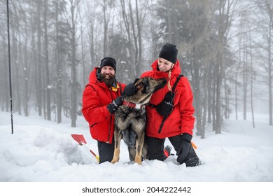 Mountain Rescue Service With Dog On Operation Outdoors In Winter In Forest, Digging Snow.