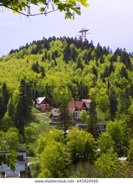 Mountain Resort\
Landscape Romanian\
Forest