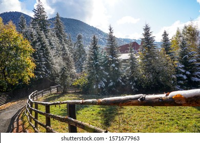 Mountain Resort Poiana Brasov, Romania