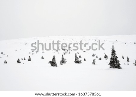 Similar – Peace. Winter Snow Field