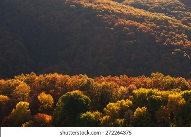 Mountain Ridges Glow With Autumn Color, Great Smoky Mountains National Park