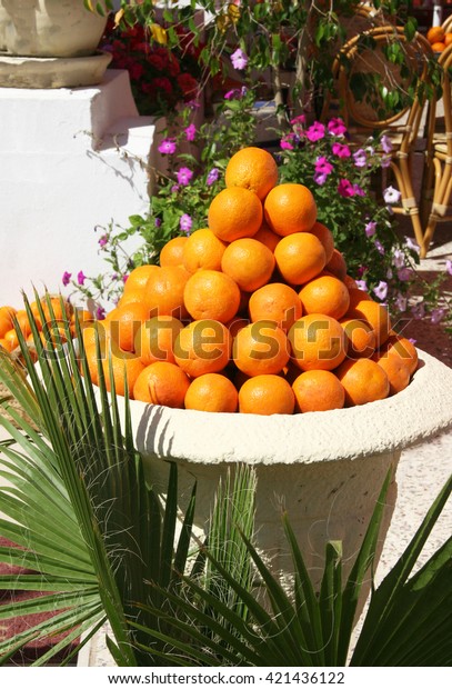 Mountain Ripe Orange Large Floor Vase Stock Image Download Now