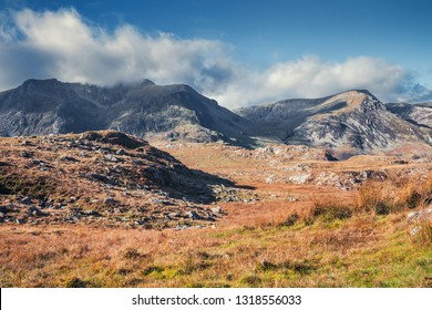 Risge Images, Stock Photos & Vectors | Shutterstock