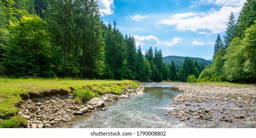 Mountain River Among The Forest In Valley. Sunny Summer Landscape. Green Grass And Rocks On The Shore. White Clouds On The Blue Sky