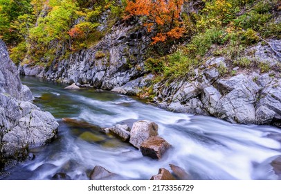 Mountain river in the autumn forest. Autumn forest river flow. River flow in autumn forest. Mountain river in autumn - Shutterstock ID 2173356729