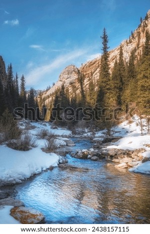 Mountain river in a beautiful rocky gorge with Komershi spruce forest in Kazakhstan in early spring