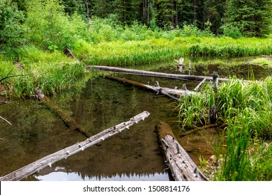 Mountain River Beaver Pond In Rocky Mountains In Summer Of 2019 On Conundrum Creek Trail In Aspen, Colorado