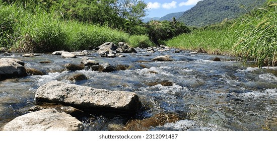 Mountain river. River. Flow. Stones. Rocks. Nature. Water. River view. Green. Mountain. Plants.  - Powered by Shutterstock