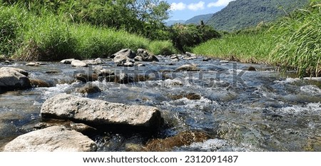 Mountain river. River. Flow. Stones. Rocks. Nature. Water. River view. Green. Mountain. Plants. 