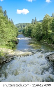 mountain river in the forest