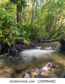 mountain river river in the forest
