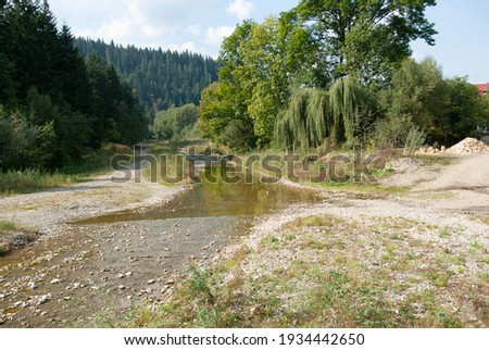 Mountain river in the forest.