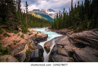 Mountain river in a mountain forest. River in mountain forest. Mountain forest river. Forest river landscape