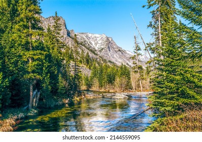 Mountain river in the forest. Forest river in mountains. Mountain forest river landscape. River in mountain forest