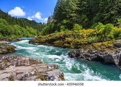 Mountain river and forest in North Cascades National Park, Washington, USA