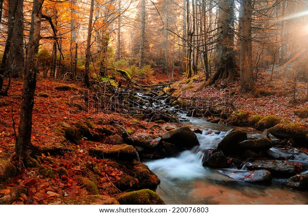Mountain River Late Autumn Indian Summer Stock Photo Edit Now