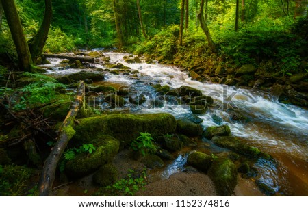 Mountain river - stream flowing through thick green forest. Stream in dense wood. Big boulders in river bed with fallen tree trunks covered in moss, rainforest in Europe, Bistriski Vintgar, Slovenia