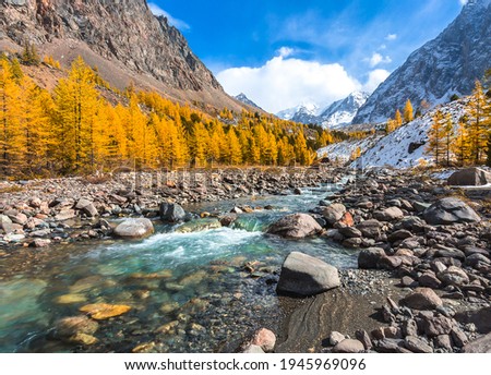 Mountain river stream valley in autumn scene. River creek in mountain valley