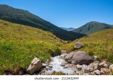 Mountain river valley landscape. Beautiful mountain river with green mountains on background. Dzungarian Alatau nature. Tourism, travel in Kazakhstan, concept.  - Shutterstock ID 2113432499