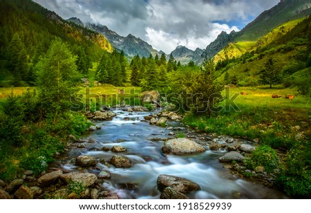 Mountain river water flow in green Alps forest