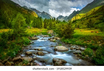 Mountain river water flowing through rocks in green forest - Shutterstock ID 1918529939
