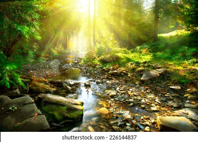 Mountain River With, Forest Landscape. Tranquil Waterfall Scenery In The Middle Of Green Forest 