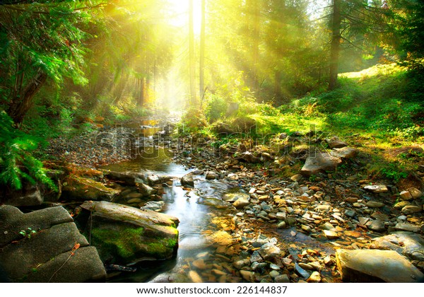 156,522 Sun Stream Images, Stock Photos & Vectors | Shutterstock