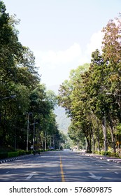 mountain road      
