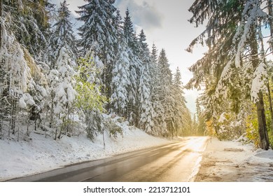 Mountain Road Between Bavarian Alps And Austrian Tyrol At Autumn, After Snow