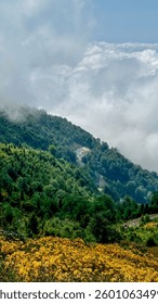 Mountain road to the clouds