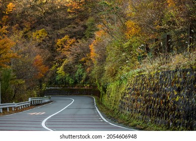 Mountain road covered with autumnal trees